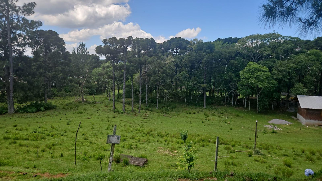 Complexo Industrial em Nova Petrópolis RS — foto 3