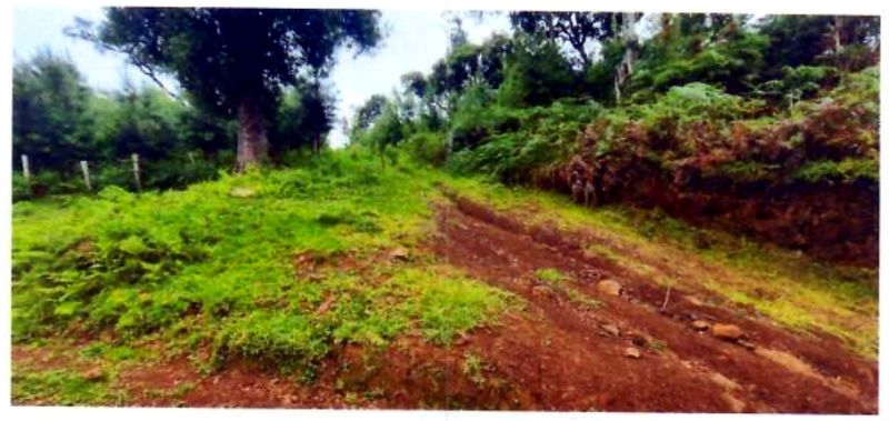 Terreno rural com área de 362.140m² — foto 4