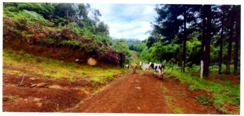 Terreno rural com área de 362.140m² — foto 5