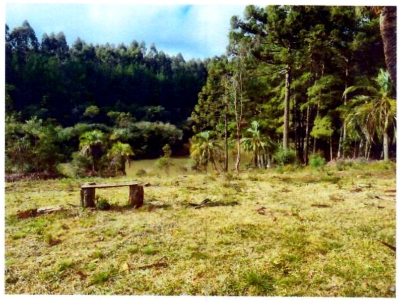 Terreno com área de 47.270,00m² — foto 3