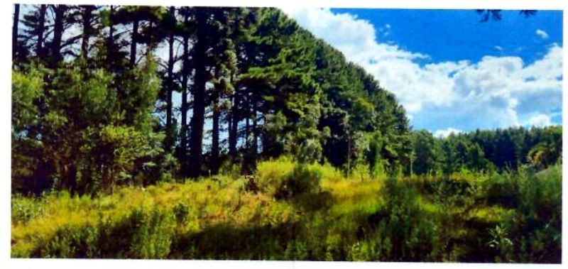 Terreno com área de 47.270,00m² — foto 5