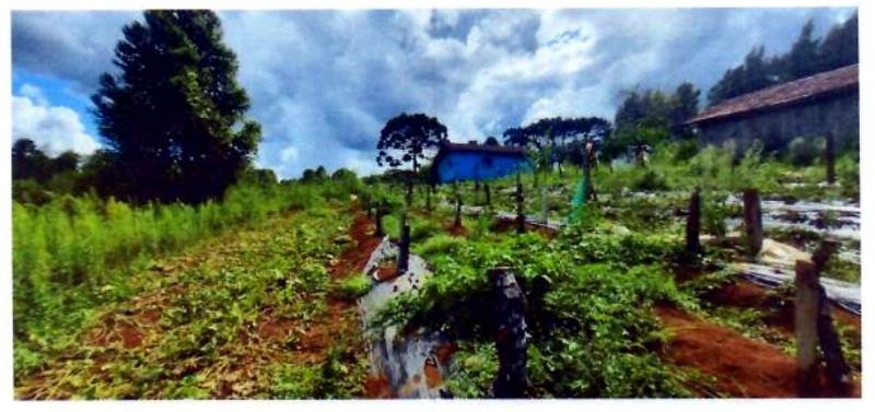Terreno rural com área de 74.600,00m² — foto 3