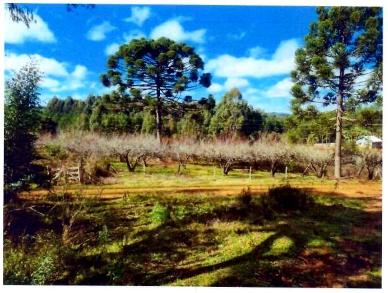 Terreno rural com área de 74.600,00m² — foto 5