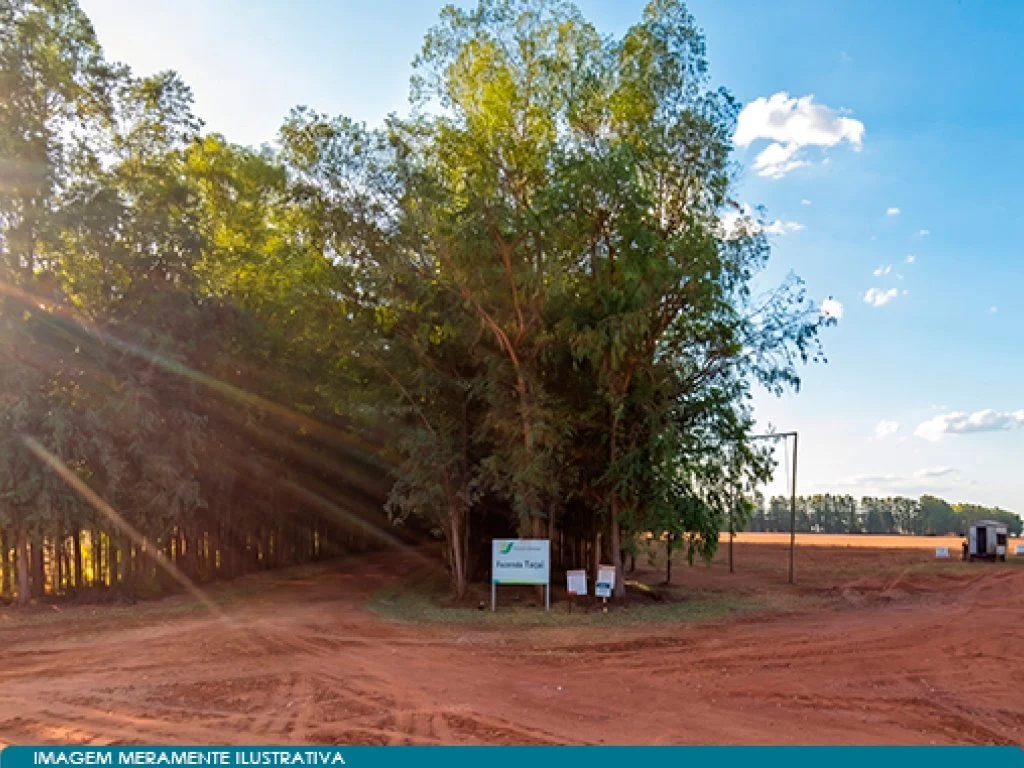 Imóvel Rural 9.871 ha (Esperança) - Nova Mutum - MT