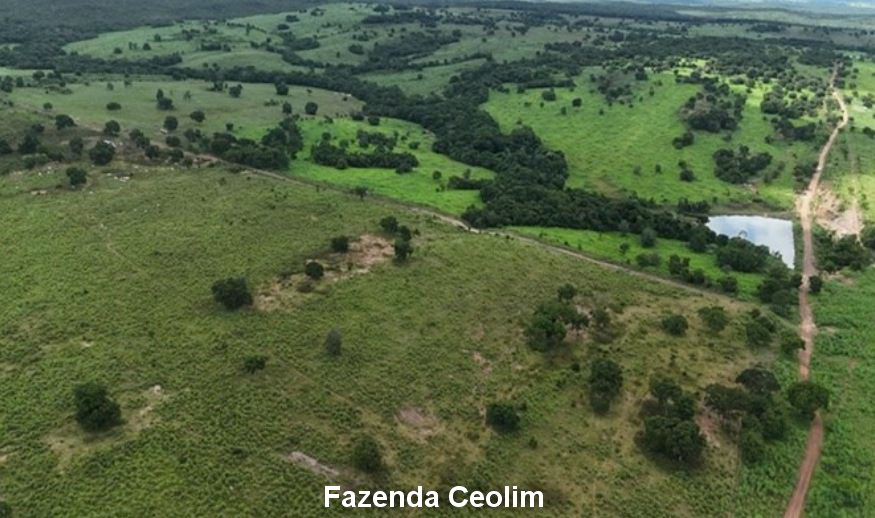 Nossa Senhora do Livramento - MT. Fazenda Ceolim V com 590,759ha