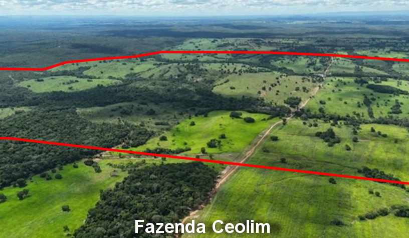 Nossa Senhora do Livramento - MT. Fazenda Ceolim V com 590,759ha — foto 3