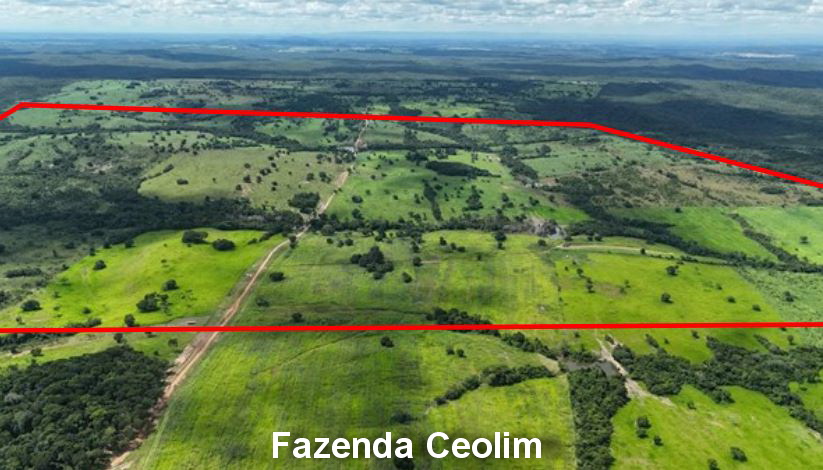 Nossa Senhora do Livramento - MT. Fazenda Ceolim V com 590,759ha — foto 4