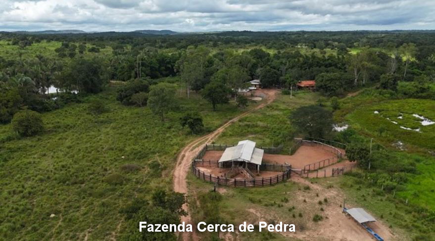 Nossa Senhora do Livramento - MT. Fazenda Cerca de Pedra com 666,6696ha.