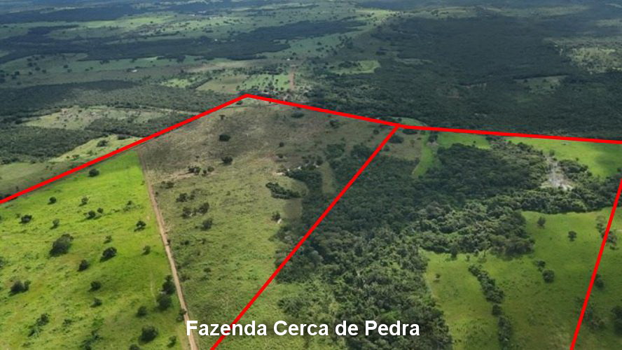 Nossa Senhora do Livramento - MT. Fazenda Cerca de Pedra com 666,6696ha. — foto 3