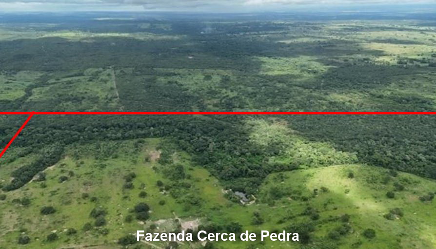 Nossa Senhora do Livramento - MT. Fazenda Cerca de Pedra com 666,6696ha. — foto 4