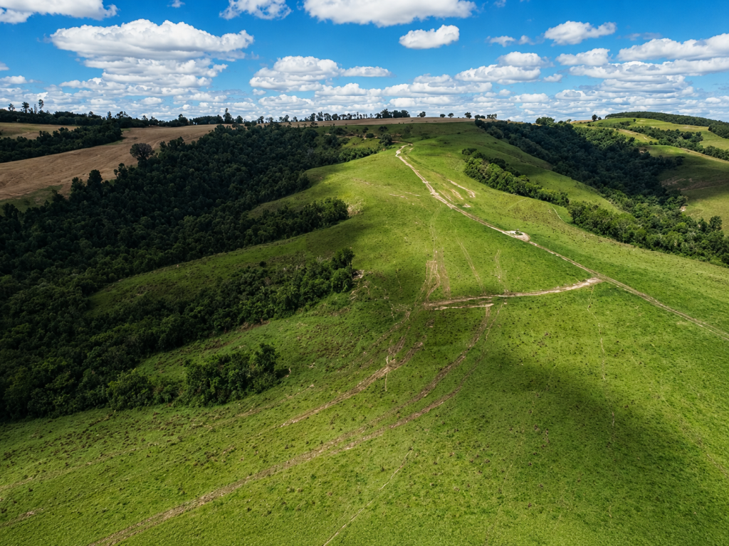 Imóvel Rural, 29,04 hectares, Itaberá/SP — foto 3