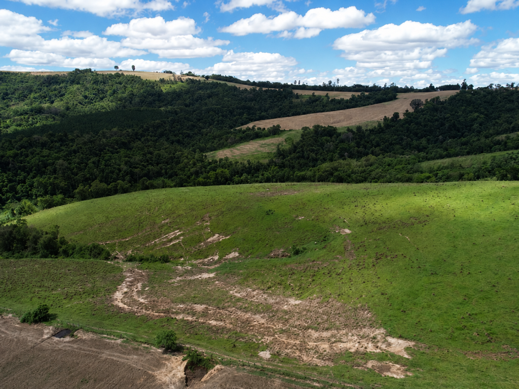 Imóvel Rural, 29,04 hectares, Itaberá/SP — foto 4