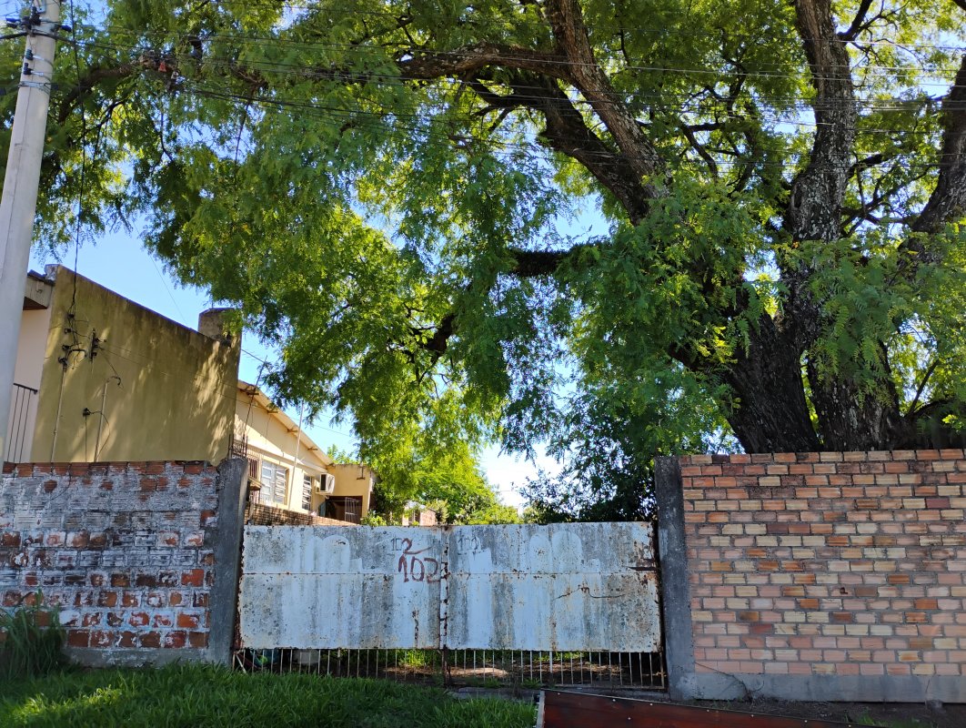 Um Terreno Bairro Vera Cruz - Alegrete, Cfe Matr. 10.692 — foto 2