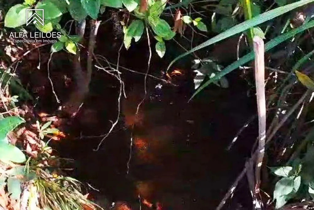 Leilão de Fazenda em Ponte Alta do Tocantins (TO) — foto 2