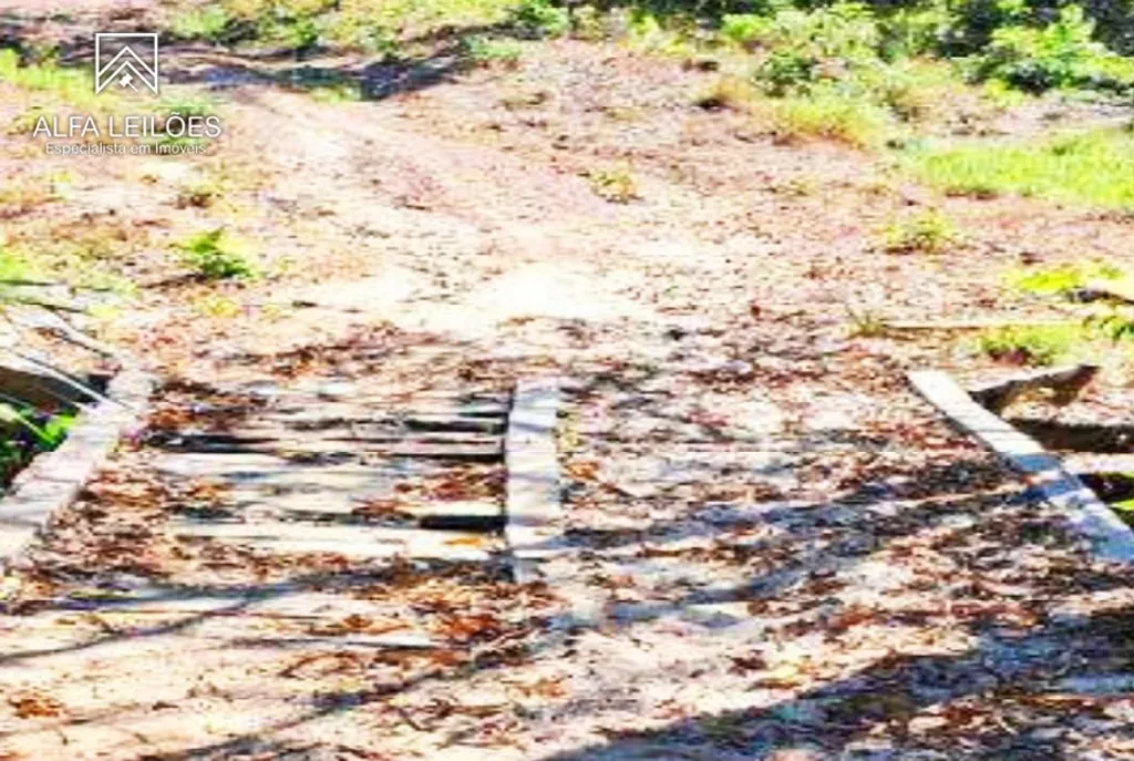 Leilão de Fazenda em Ponte Alta do Tocantins (TO) — foto 4