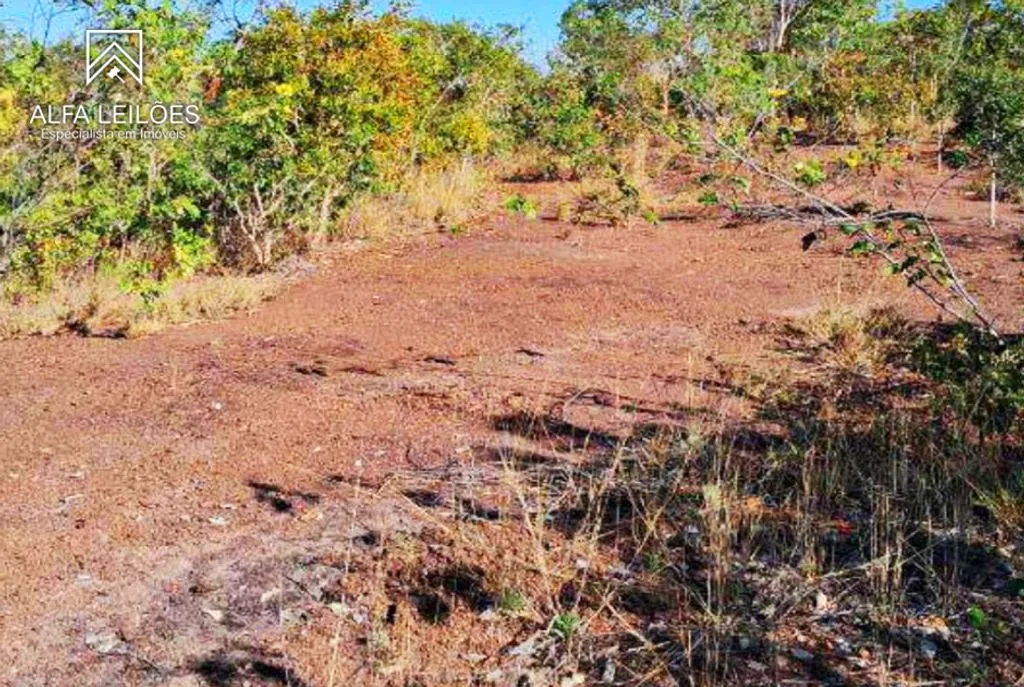 Leilão de Fazenda em Ponte Alta do Tocantins (TO) — foto 5
