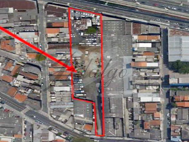 Lote 001 - TD — foto 4