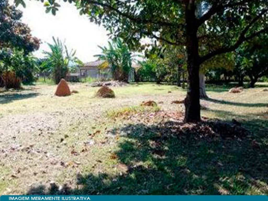 Chácara em Área de 3.000 m² - Loteamento São Francisco - Porto Feliz - SP — foto 2