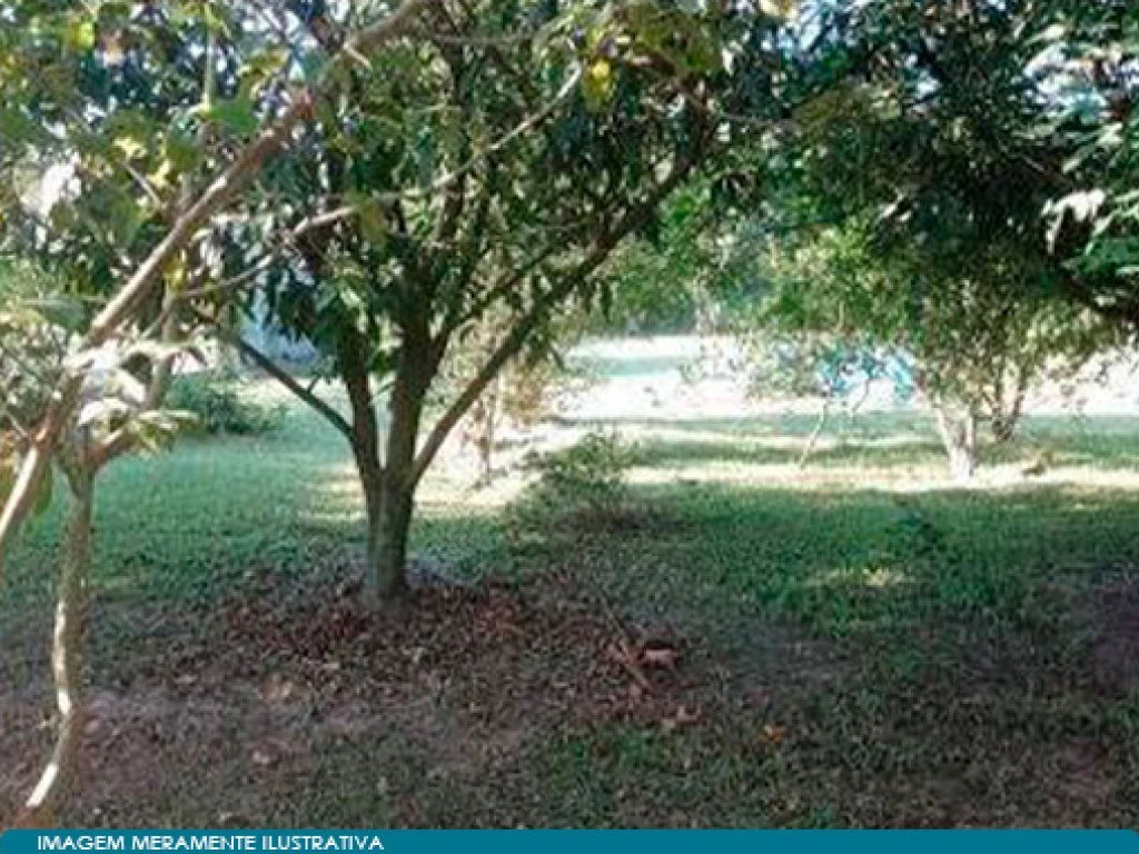 Chácara em Área de 3.000 m² - Loteamento São Francisco - Porto Feliz - SP — foto 3