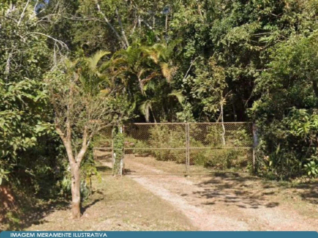 Área 9 ha (Sítio) - Cocuera - Mogi das Cruzes - SP — foto 2