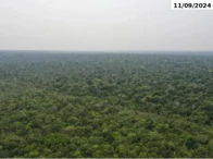 Fazenda Bataguassu II - 345,23 ha - Nova Ubiratã/MT