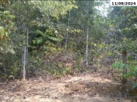 Fazenda Bataguassu II - 345,23 ha - Nova Ubiratã/MT — foto 3