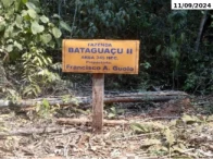 Fazenda Bataguassu II - 345,23 ha - Nova Ubiratã/MT — foto 4