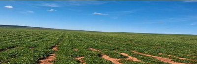 Área de terras com 196,4662 hectares, perímetro de 8.002,01m, sem benfeitorias. — foto 3