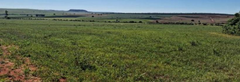 Área de terras com 196,4662 hectares, perímetro de 8.002,01m, sem benfeitorias. — foto 4