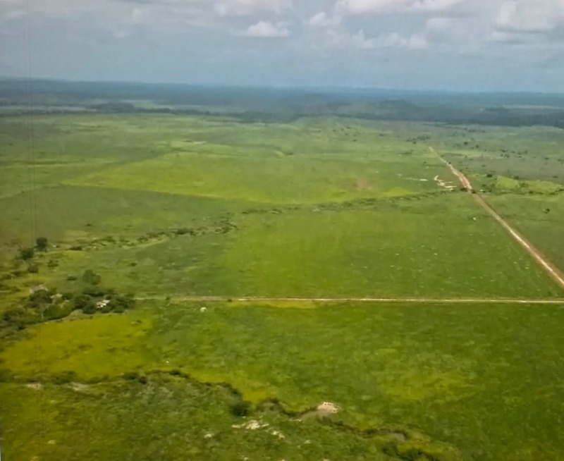 Lote 001 Excelente Imóvel Rural em Lagoa Grande/MG (116,46 Ha)