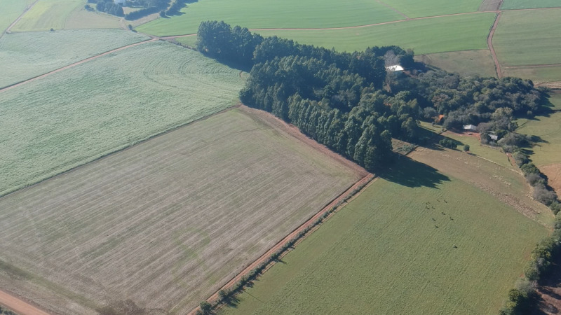 LOTE 703 A FRAÇÃO IDEAL DE 10.000,00m² SOBRE UMA ÁREA DE TERRAS, com área de 146.250,00m², situada e — foto 3