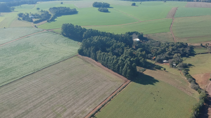 LOTE 703 A FRAÇÃO IDEAL DE 10.000,00m² SOBRE UMA ÁREA DE TERRAS, com área de 146.250,00m², situada e — foto 4