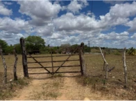 Sítio c/ 15,0 hectares - Alagoinha/PB — foto 2