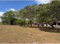 Sítio c/ 15,0 hectares - Alagoinha/PB — foto 3