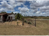 Sítio c/ 15,0 hectares - Alagoinha/PB — foto 4