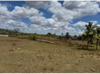 Sítio c/ 15,0 hectares - Alagoinha/PB — foto 5