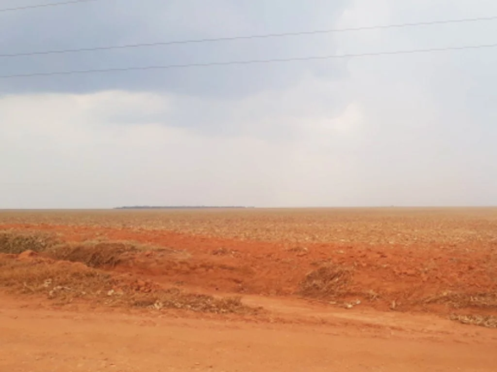 Direitos sobre Parte Ideal (50%) de Área Rural 195 ha - Fazenda Sabiá - Campos de Júlio - MT — foto 2