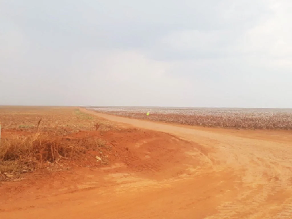 Direitos sobre Parte Ideal (50%) de Área Rural 195 ha - Fazenda Sabiá - Campos de Júlio - MT — foto 3