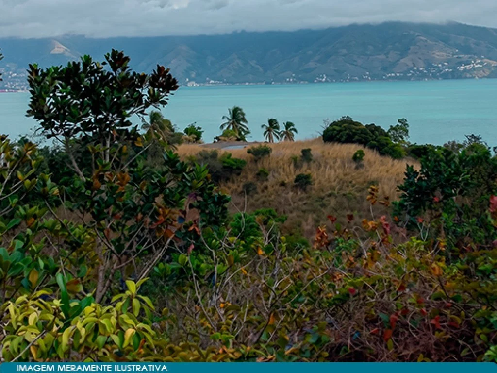 Área 90.000 m² - Arrozal - Ilhabela - SP