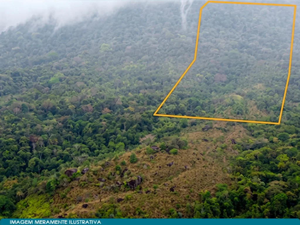 Área 90.000 m² - Arrozal - Ilhabela - SP — foto 3