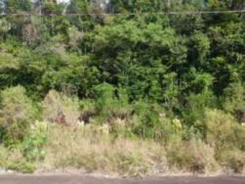 Três Terrenos com: 883,56m²; 915,51m²; 851,62 m², — foto 4