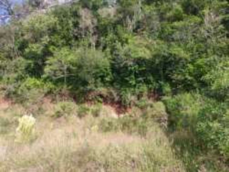 Três Terrenos com: 883,56m²; 915,51m²; 851,62 m², — foto 5