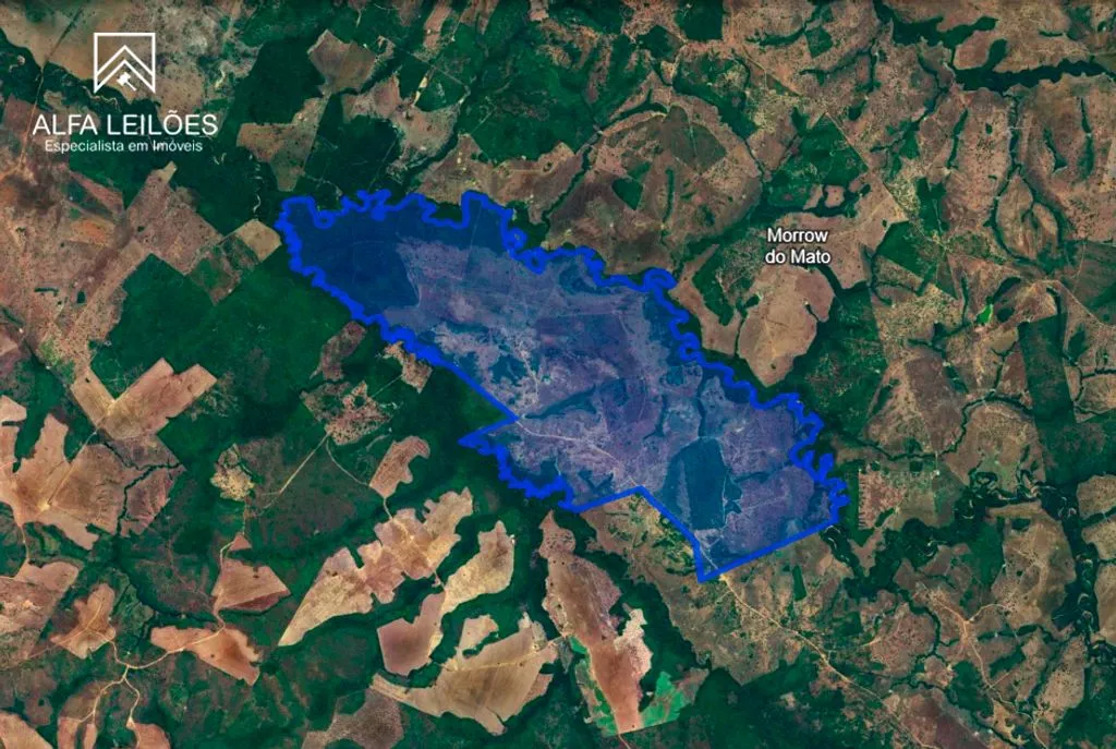 Leilão de Fazenda em Goianorte (TO)