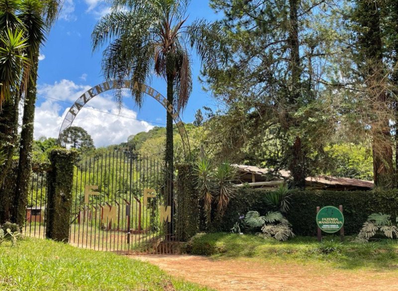 Lote 001 Sorte de Terras de 01 Hectare na Fazenda Mandassaia em Ouro Fino/MG — foto 4