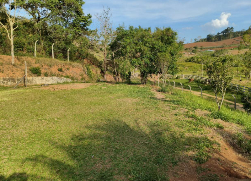 Lote 001 Fazenda Havaí com Área de 33,7590 Ha, com Galpão e Escritório na Rodovia Br-040 em Cristian — foto 5