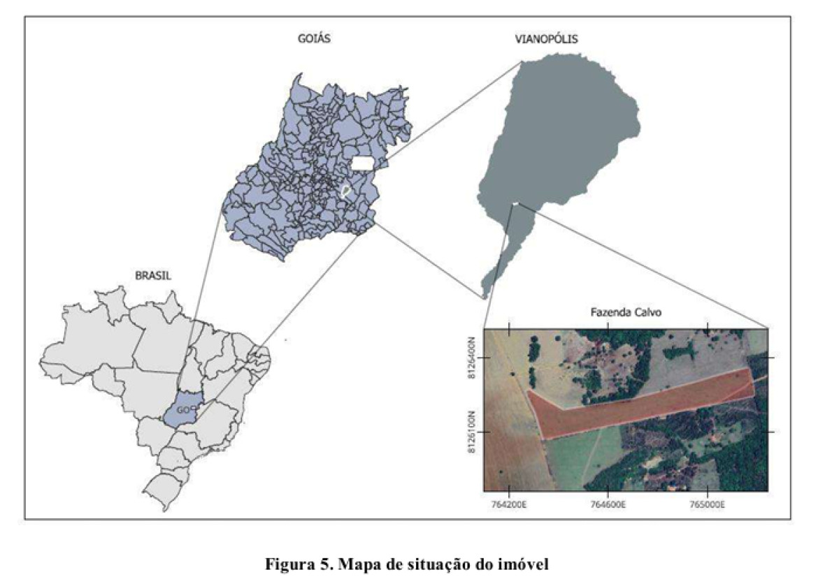 Imóvel Rural em Vianóplis - GO - Matrícula N° 5.372 Cri de Vianópolis — foto 2