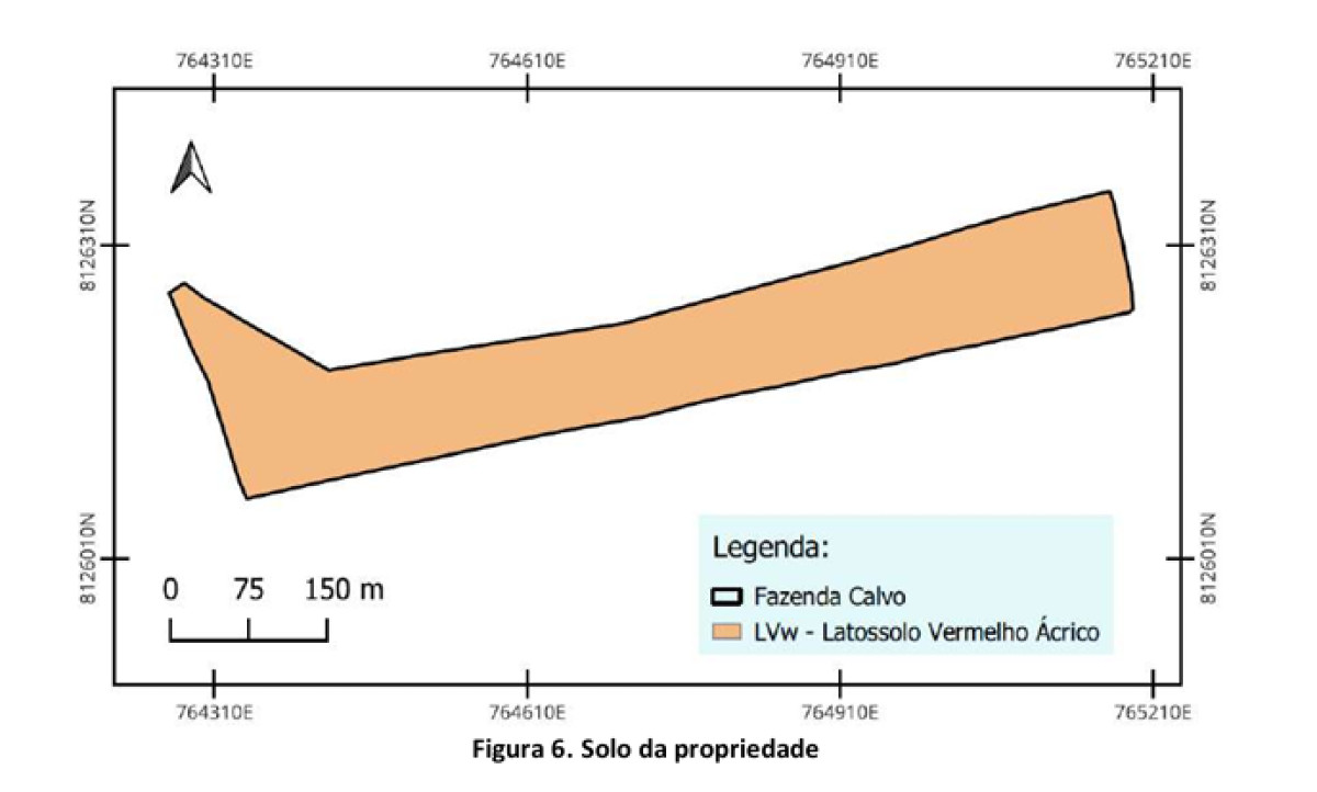 Imóvel Rural em Vianóplis - GO - Matrícula N° 5.372 Cri de Vianópolis — foto 3