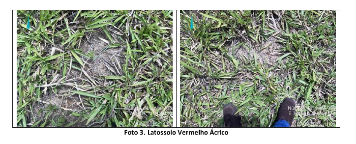 Imóvel Rural em Vianóplis - GO - Matrícula N° 5.372 Cri de Vianópolis — foto 4