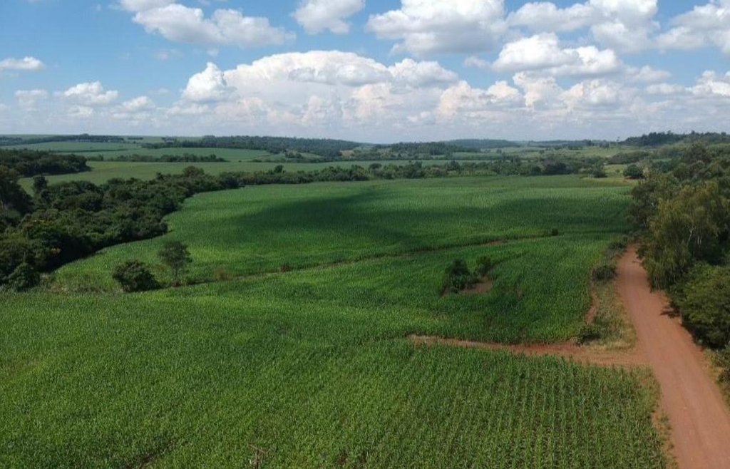 Imóvel Rural com Área de 70.050 M2- em Mercedes/PR