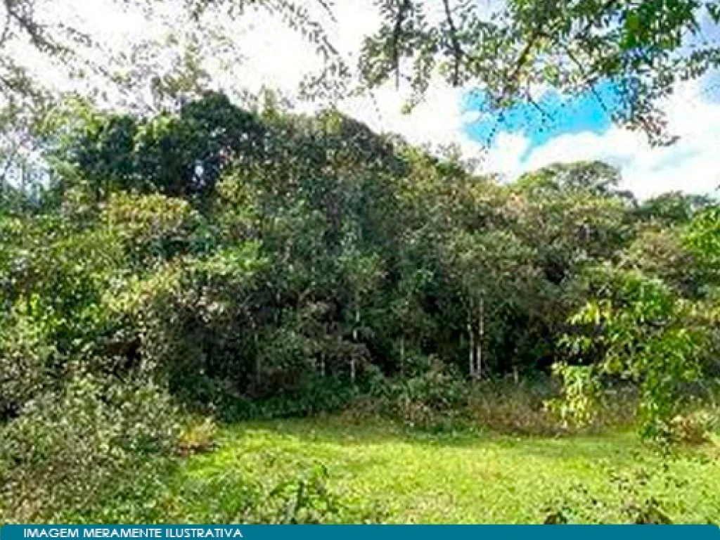 Área Rural com 20.400 m² - Ribeirão Grande - Pindamonhangaba - SP — foto 3